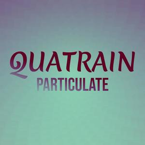 Quatrain Particulate