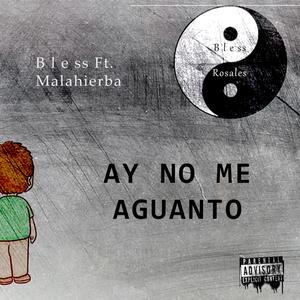 Ay No Me Aguanto(feat. Malahierba)