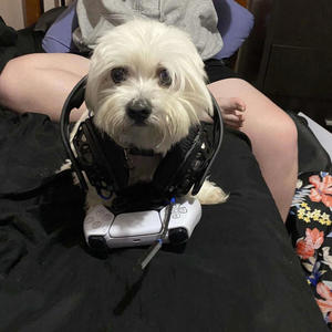 Fortnite With The Boys! (feat. Sethaboi, Lil’ Dookie Bag & The Dookies) (Explicit)