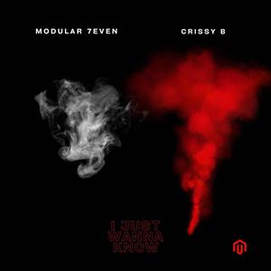 Modular 7even - I just wanna know (feat. CRISSY B)