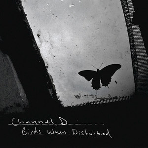 Birds When Disturbed