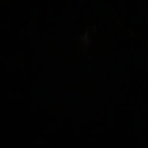 T.O.H.T.C.A.H (feat. Wick) (Explicit)