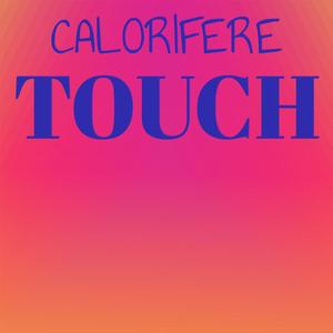 Calorifere Touch