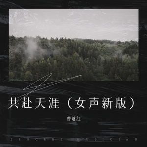 共赴天涯 (女声新版)