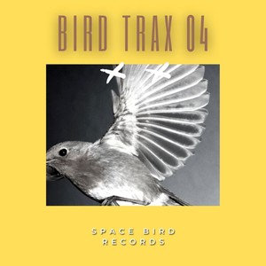 Bird Trax 04