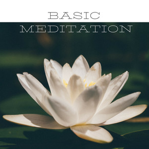 Basic Meditation - Subliminal Sounds to Awaken True Inner Peace, Songs for Beginners