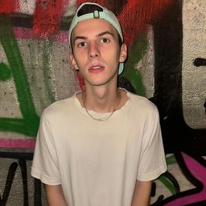 Vanilla Palast (Explicit)