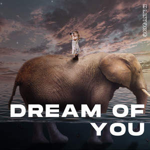 Dream of You