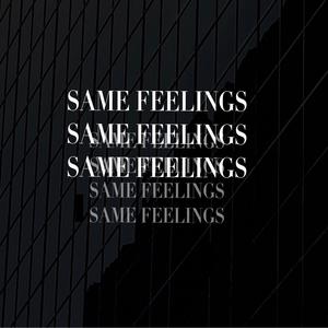 same feelings (Explicit)