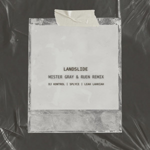 Landslide (Mister Gray & Ruen Remix)