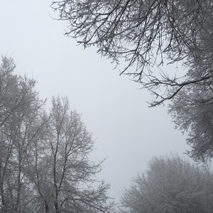 写给赵英俊的歌 (Demo)