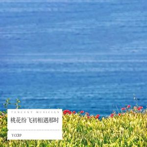 桃花纷飞初相遇那时