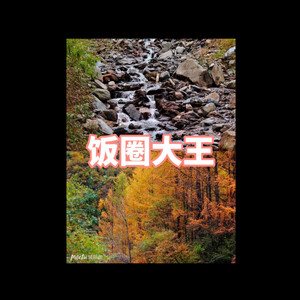 饭圈大王 (坏坏版)封面