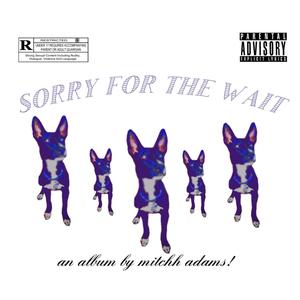 SORRY FOR THE WAIT (Explicit)