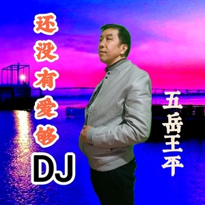 流行音乐DJ合辑