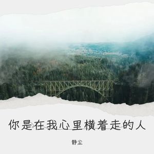 你是在我心里横着走的人