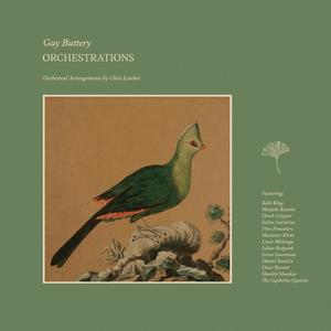 Werner Meets Egberto In Manaus (feat. Madala Kunene) (Orchestrations)
