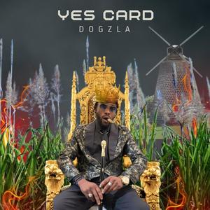 yes card (Explicit)