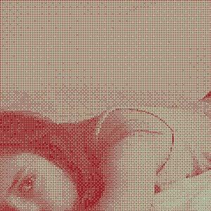 Honk If You Love Dying And Being Dead