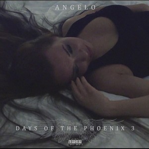 The Days of the Phoenix 3 (Explicit)