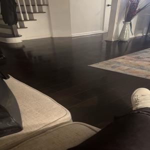 balencii kicks (Explicit)