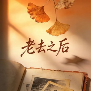 老去之后