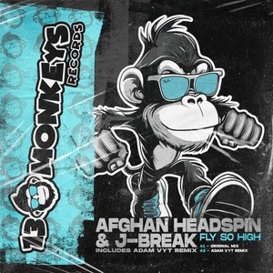 Fly so High (Adam Vyt Remix)