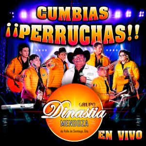 Provocame (En Vivo)