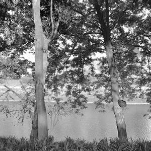 Unchanged Mind (不再变化的心态)