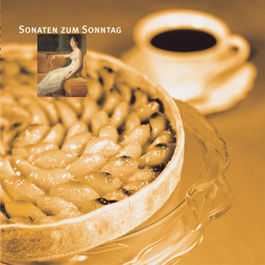 Sonata for Arpeggione and Piano in A Minor, D. 821 - III. Allegretto