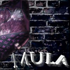 MULA(feat. WHOSSICA) (Explicit)