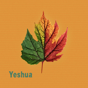 Yeshua (Acoustic)