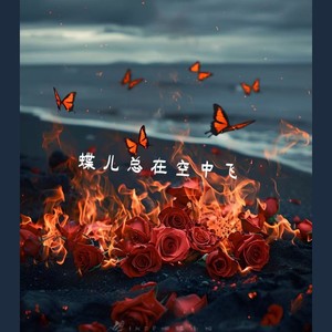蝶儿总在空中飞