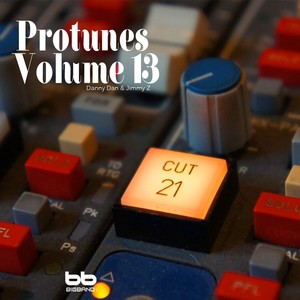 Protunes Volume 13