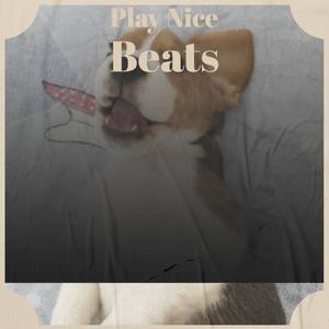 Play Nice Beats