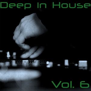 Deep in House, Vol. 6