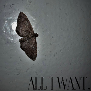 All I Want (Explicit)