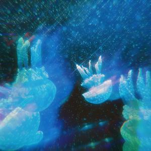 HOLOGRAPHIC (Explicit)