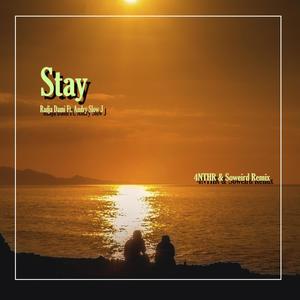 Stay (4NTHR & Soweird Remix) (Radio Edit)