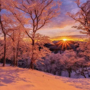 粉红色的回忆 (DJ版)