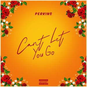 Can't Let You Go