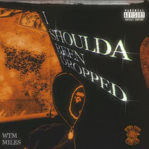 I Shoulda Been Dropped (Explicit)