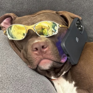 Pra Trás E Pra Frente