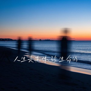 人生是来体验生命的1.1x