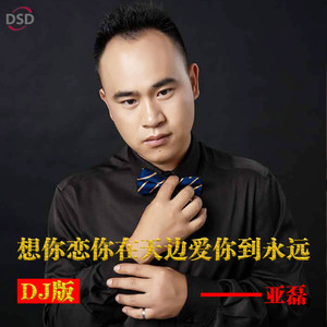 想你恋你在天边爱你到永远 (DJ版)