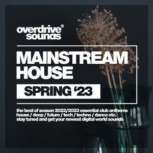 Stay Forever (Future Vip Mix)