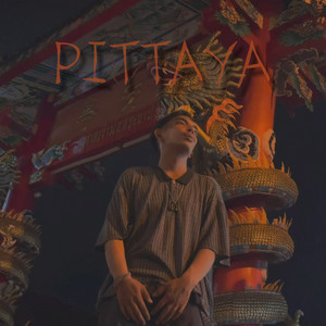 ตกหลุมรักเธอไปตั้งหลายครั้ง (Explicit)