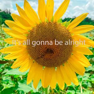 It's all gonna be alright