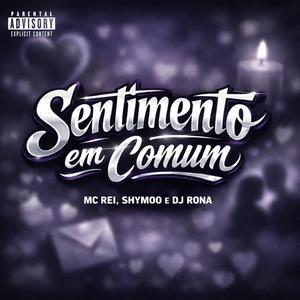 Sentimento Em Comum (Explicit)