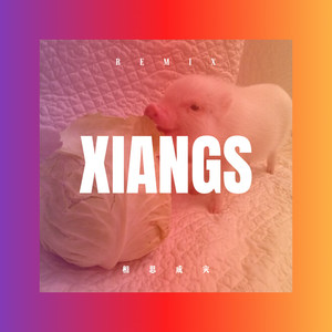 你笑起来真好看